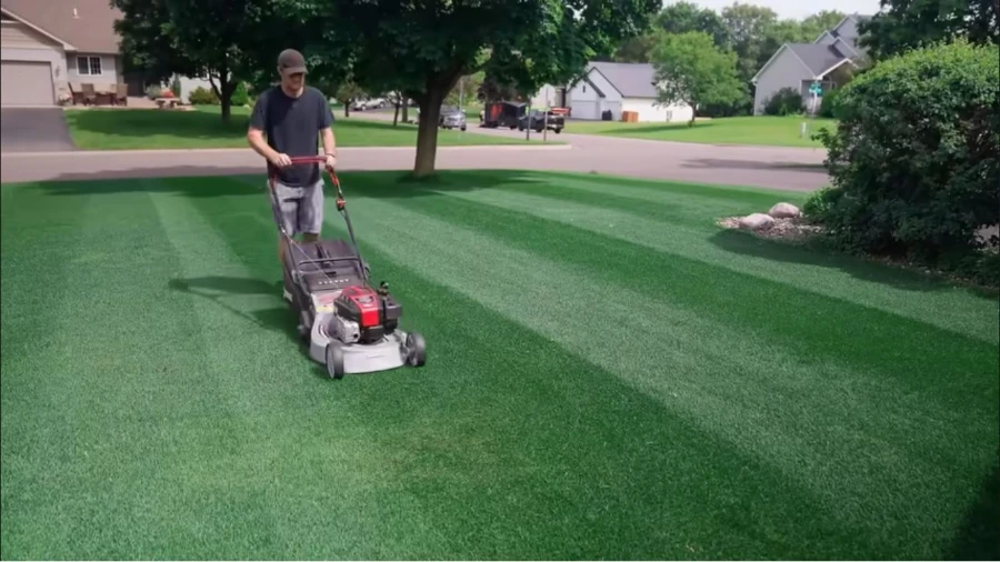 Beautifully maintained lawn and landscaping at a home in Wesley Chapel, FL