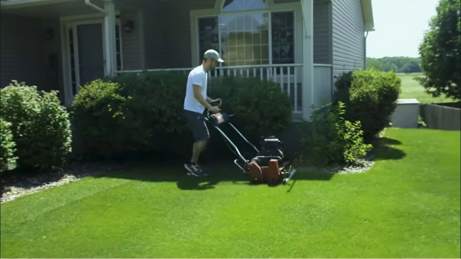 Healthy, manicured lawn in Wesley Chapel, FL