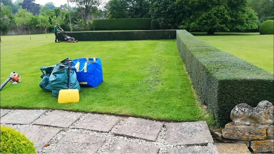 Dry, stressed lawn before Lawn Sentinel care in Wesley Chapel, FL