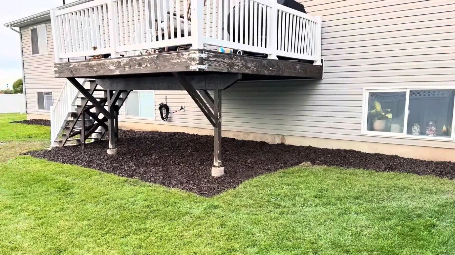 After mulch installation — finished landscape bed with proper foundation clearance in Wesley Chapel, FL