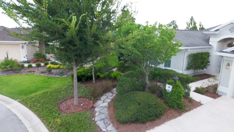 Beautiful commercial landscape design image at a Wesley Chapel, FL business property