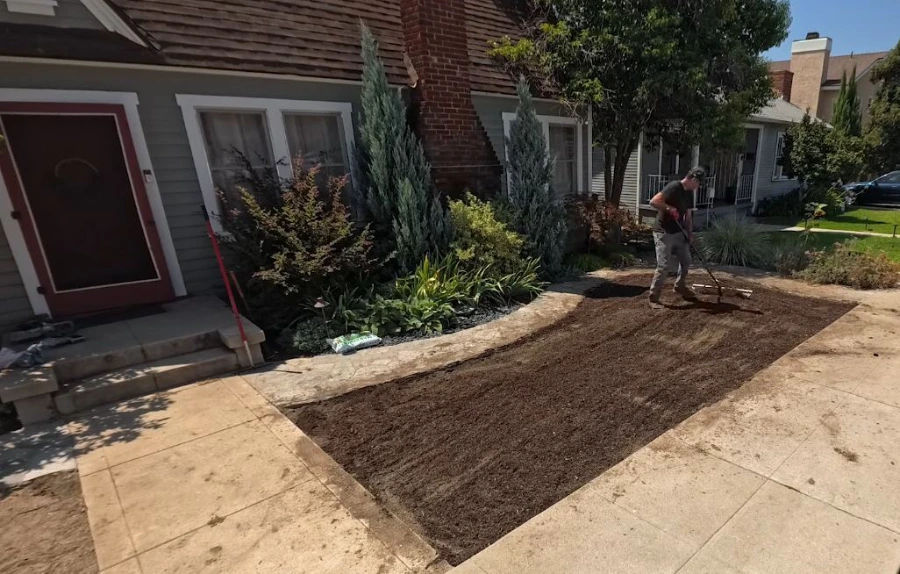 Bare soil yard before sod installation in Wesley Chapel, FL