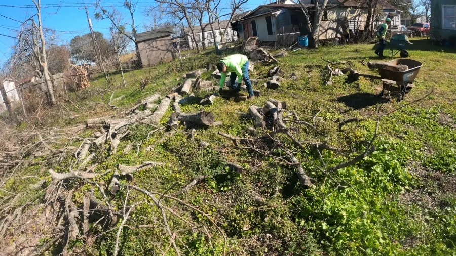 Complete post hurricane cleanup showing a cleared yard in Wesley Chapel, FL