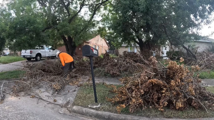 Debris cleanup after hurricane image which is hero section — downed limbs and yard debris after a storm in Wesley Chapel, FL