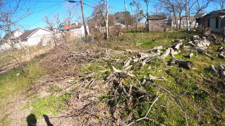 Debris removal crew clearing storm debris from a Wesley Chapel, FL property