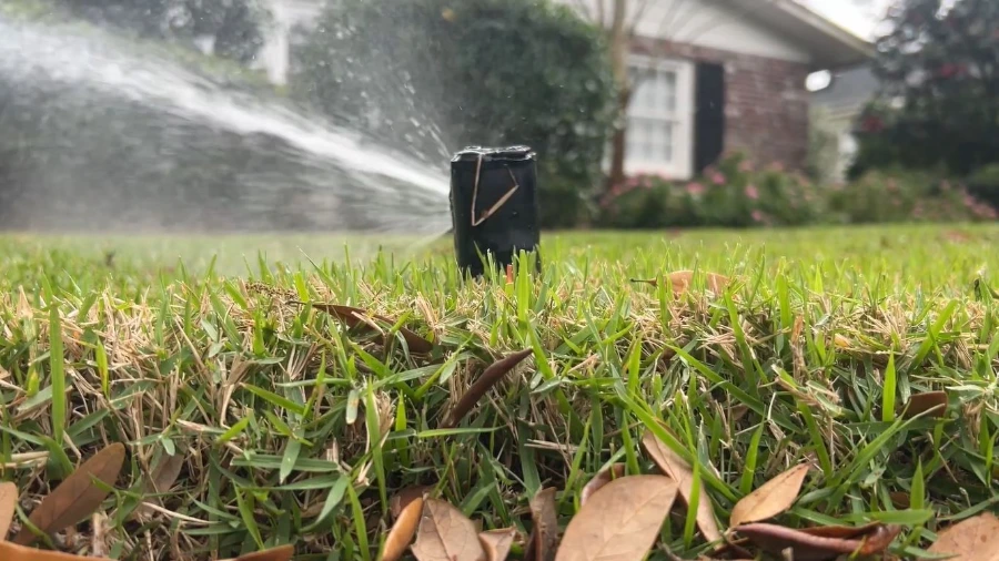 Sprinkler repair and irrigation service on a Wesley Chapel FL lawn