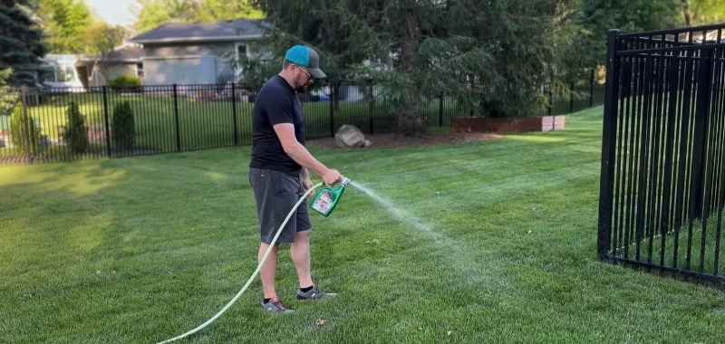 Lawn Sentinel technician diagnosing and treating a Wesley Chapel lawn as part of our process
