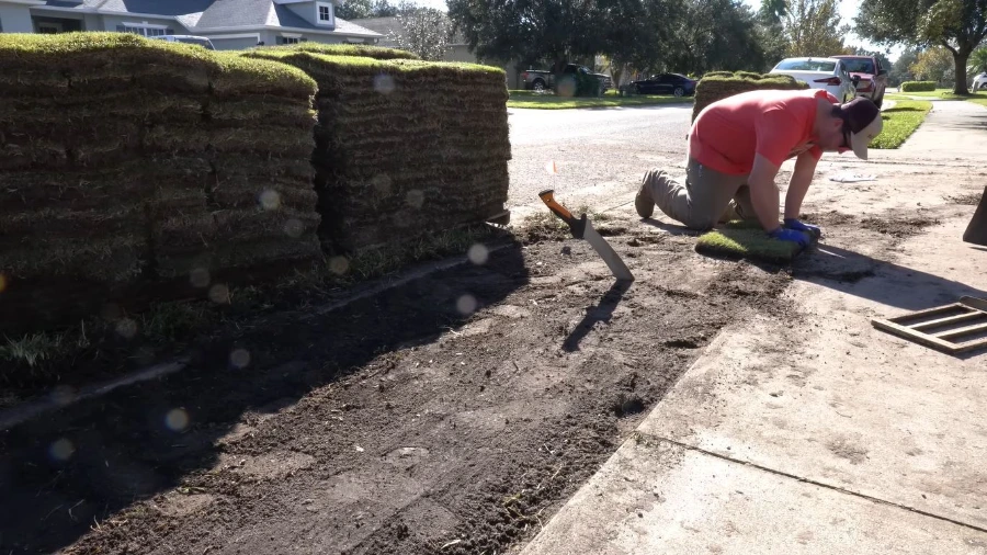 Stacked pallets of fresh sod ready for installation in Wesley Chapel, FL