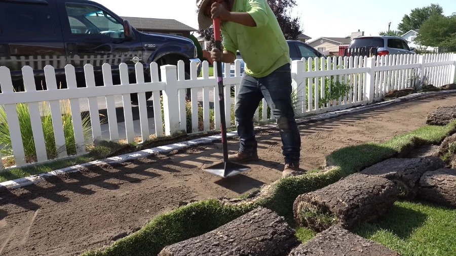 Lawn care crew laying new sod and preparing the soil base during a sod installation in Wesley Chapel, FL