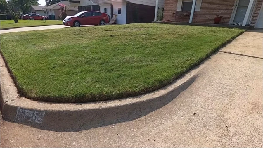 Overgrown, patchy lawn before Lawn Sentinel service in Wesley Chapel, FL