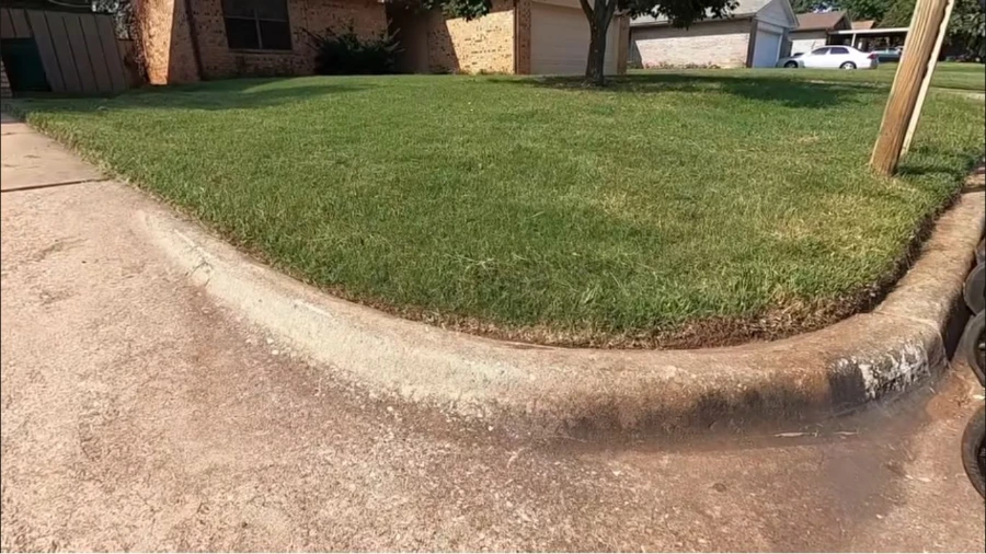 Weedy, uneven lawn before professional treatment in Wesley Chapel, FL
