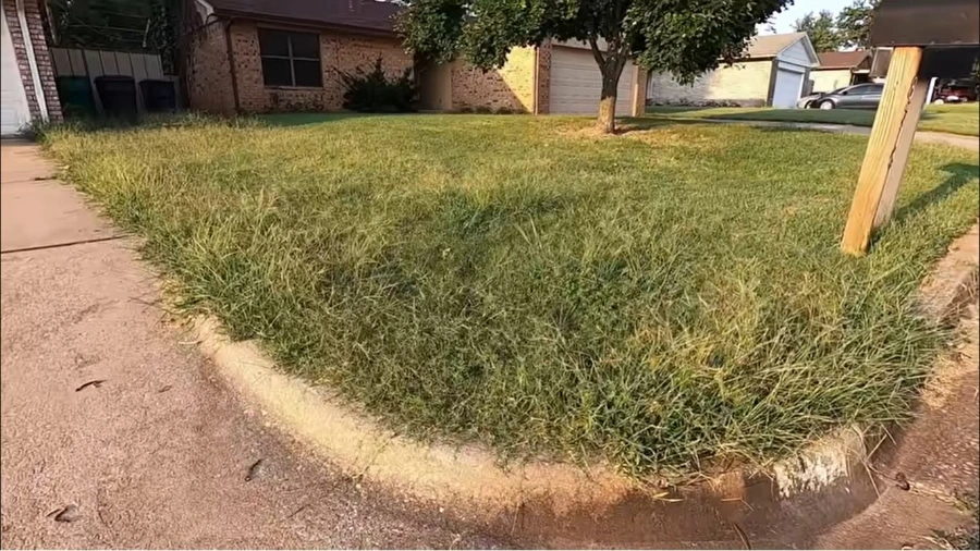 Weed-free, manicured lawn after treatment in Wesley Chapel, FL