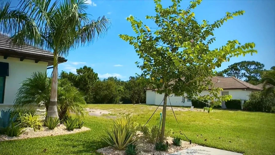 Well-maintained commercial landscape design near a retention pond in Wesley Chapel, FL