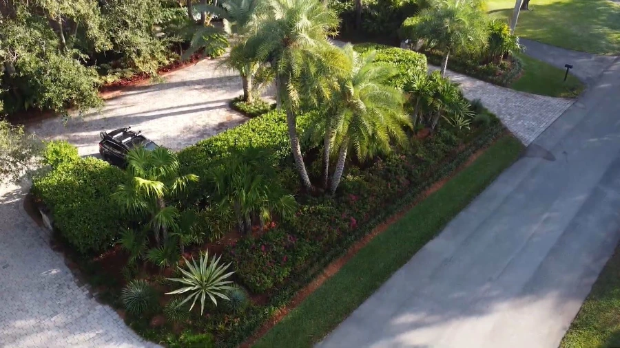 Landscape design consultation for a Wesley Chapel, FL front yard bed with sandy Pasco County soil visible