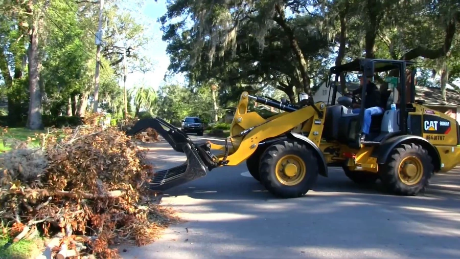 Lawn Debris Cleanup image — sorted storm debris staged at the curb in a Wesley Chapel, FL yard