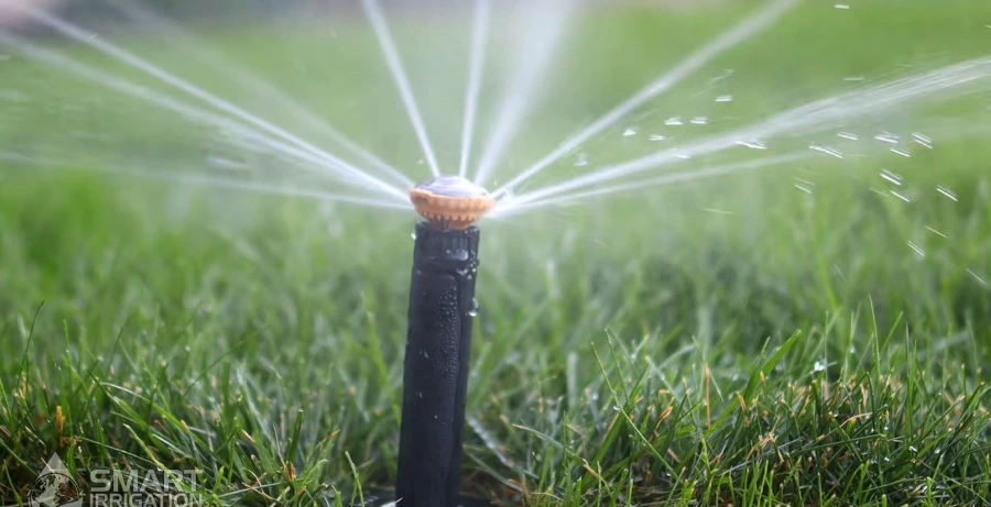 Water irrigation system running on a Wesley Chapel Florida lawn