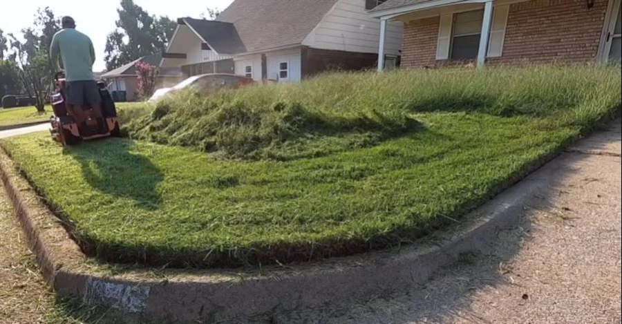 Professional lawn mowing service in progress in Wesley Chapel, FL